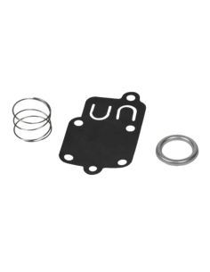 Membrane - BRIGGS ET STRATTON - 270026