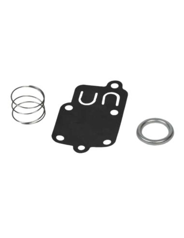 Membrane - BRIGGS ET STRATTON - 270026