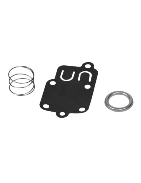 Membrane - BRIGGS ET STRATTON - 270026