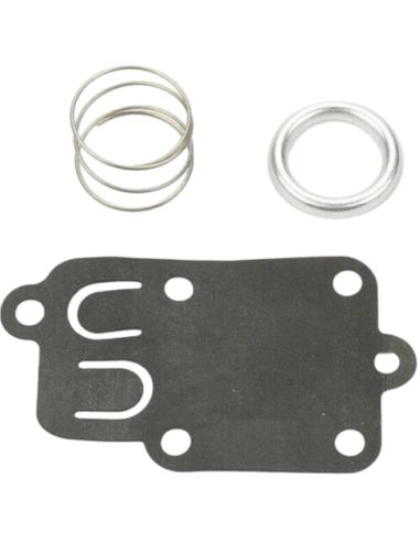 Membrane - BRIGGS ET STRATTON - 270026