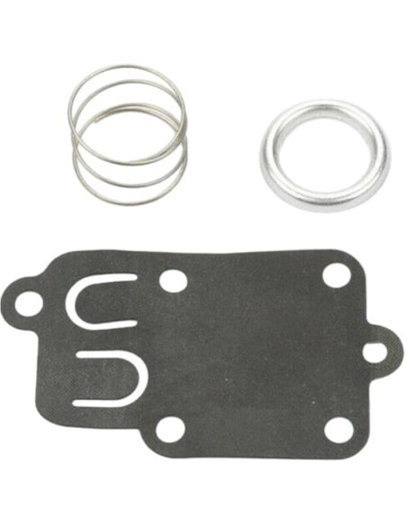 Membrane - BRIGGS ET STRATTON - 270026