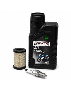 Kit d'entretien pour moteur BRIGGS ET STRATTON - 992242 - Moteur Série 3 - Modèles 21