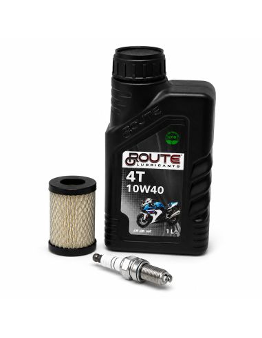 Kit d'entretien pour moteur BRIGGS ET STRATTON - 992242 - Moteur Série 3 - Modèles 21