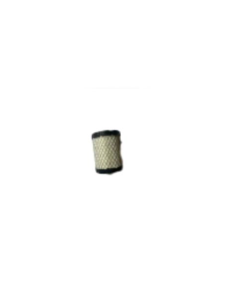 Kit d'entretien pour moteur BRIGGS ET STRATTON - 992242 - Moteur Série 3 - Modèles 21