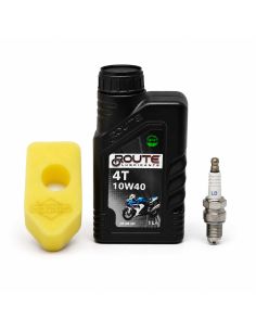 Kit d'entretien pour moteur BRIGGS ET STRATTON - 992230 - Classic série 450 - 550 - 992