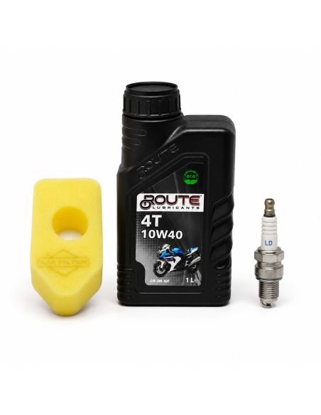 Kit d'entretien pour moteur BRIGGS ET STRATTON - 992230 - Classic série 450 - 550 - 992