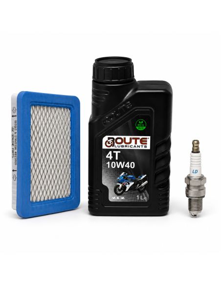 Kit d'entretien pour moteur BRIGGS ET STRATTON - 992233 - Série 600