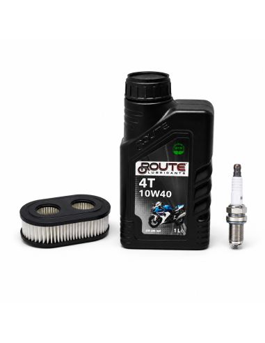 Kit d'entretien pour moteur BRIGGS ET STRATTON - 992232 - Moteurs 550E - 550EX - 575EX