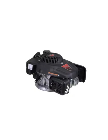 Moteur Loncin LC1P65FE2 166 cm³ 3,9 HP arbre vertical Ø22,2 x 80 mm | VerdiParts