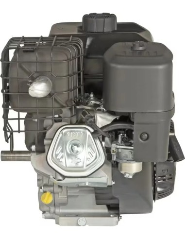 Moteur Briggs & Stratton 25T2370109F1 420 cm³ 12,9 HP arbre horizontal | VerdiParts
