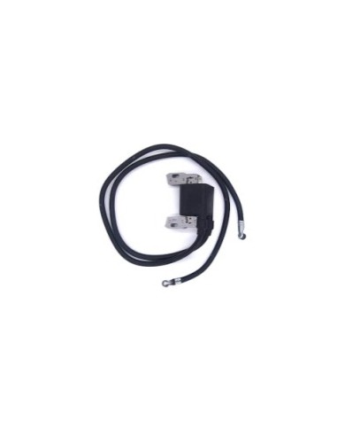 Bobine d'allumage BRIGGS ET STRATTON - 394891 - 394895 - 590781 - 392329
