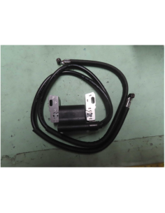 Bobine d'allumage BRIGGS ET STRATTON - 394891 - 394895 - 590781 - 392329 2