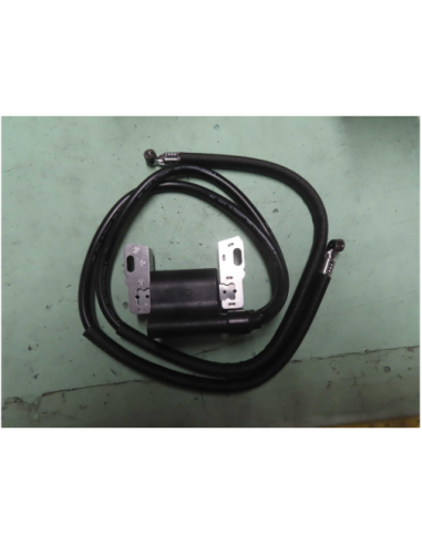 Bobine d'allumage BRIGGS ET STRATTON - 394891 - 394895 - 590781 - 392329