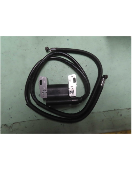 Bobine d'allumage BRIGGS ET STRATTON - 394891 - 394895 - 590781 - 392329