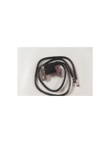 Bobine d'allumage BRIGGS ET STRATTON - 394891 - 394895 - 590781 - 392329