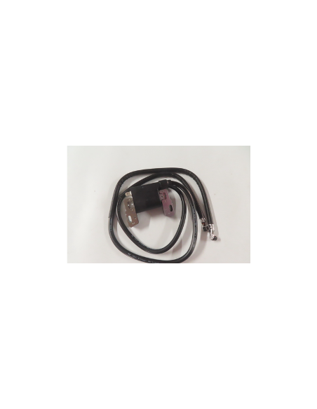 Bobine d'allumage BRIGGS ET STRATTON - 394891 - 394895 - 590781 - 392329