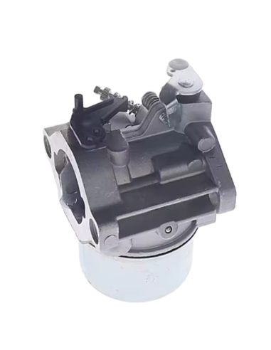 Carburateur - BRIGGS ET STRATTON - 699831
