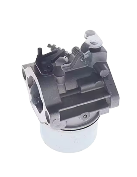 Carburateur - BRIGGS ET STRATTON - 699831