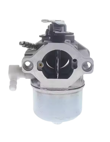 Carburateur - BRIGGS ET STRATTON - 699831