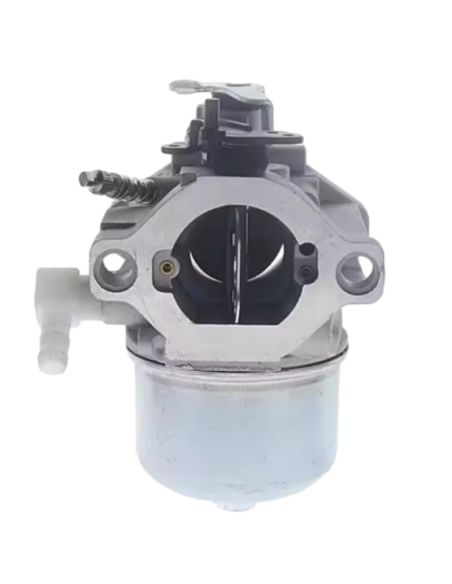 Carburateur - BRIGGS ET STRATTON - 699831