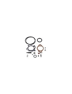 Kit de réparation pour carburateur - BRIGGS ET STRATTON - 493762 - 498260