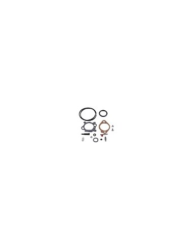Kit de réparation pour carburateur - BRIGGS ET STRATTON - 493762 - 498260