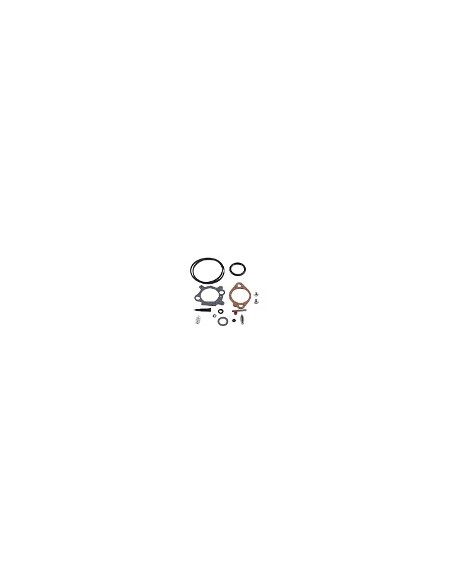 Kit de réparation pour carburateur - BRIGGS ET STRATTON - 493762 - 498260