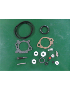 Kit de réparation pour carburateur - BRIGGS ET STRATTON - 493762 - 498260 2