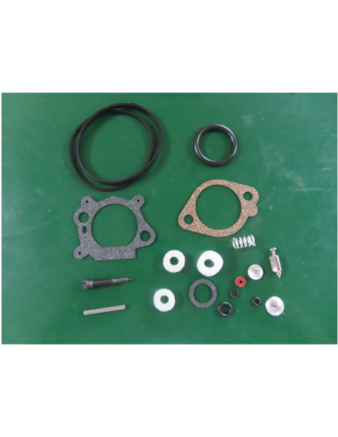 Kit de réparation pour carburateur - BRIGGS ET STRATTON - 493762 - 498260