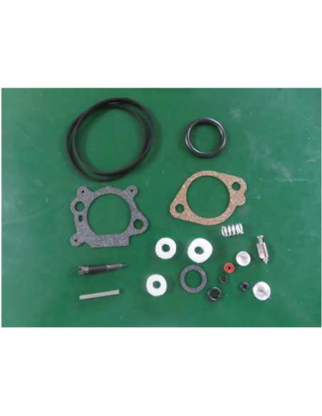 Kit de réparation pour carburateur - BRIGGS ET STRATTON - 493762 - 498260