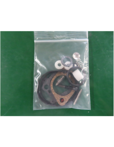 Kit de réparation pour carburateur - BRIGGS ET STRATTON - 493762 - 498260