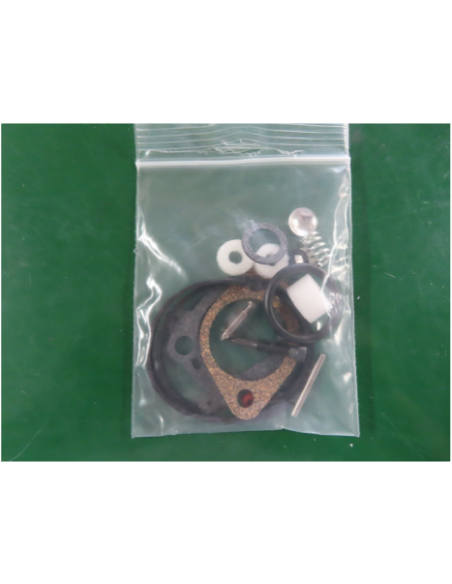 Kit de réparation pour carburateur - BRIGGS ET STRATTON - 493762 - 498260