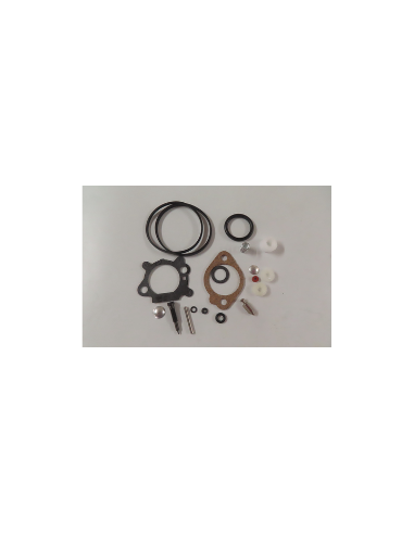 Kit de réparation pour carburateur - BRIGGS ET STRATTON - 493762 - 498260