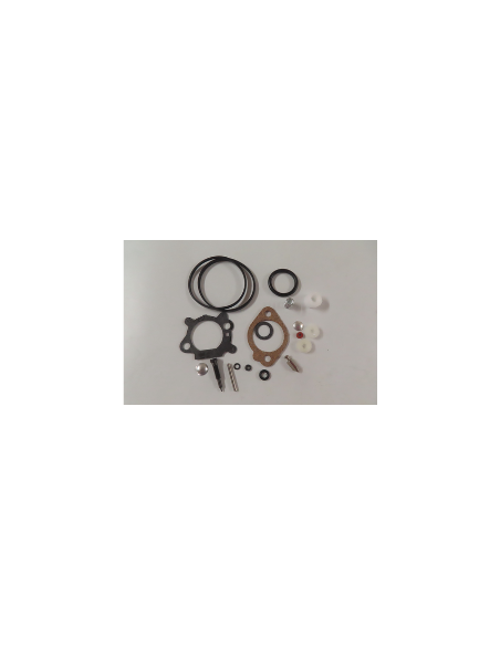 Kit de réparation pour carburateur - BRIGGS ET STRATTON - 493762 - 498260