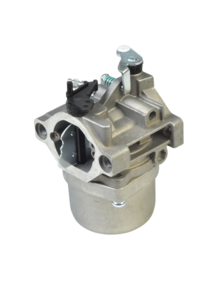 Carburateur - BRIGGS ET STRATTON - 799728