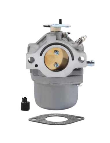 Carburateur - BRIGGS ET STRATTON - 799728