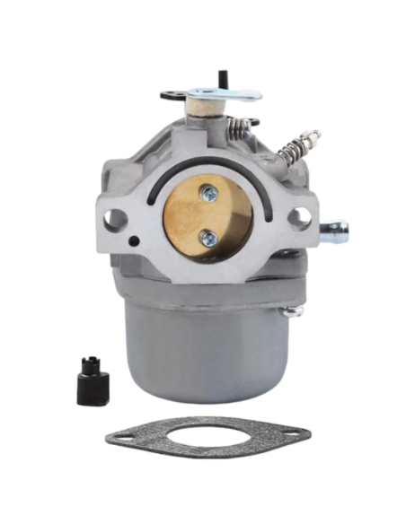 Carburateur - BRIGGS ET STRATTON - 799728