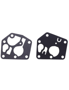 Membrane et joint - BRIGGS ET STRATTON - 495770 - 281028 - 795083