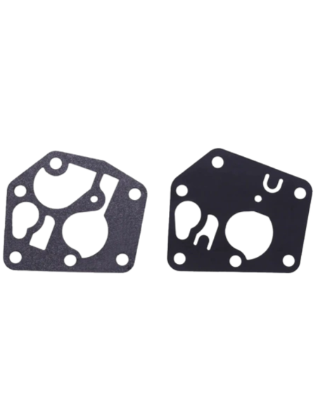 Membrane et joint - BRIGGS ET STRATTON - 495770 - 281028 - 795083