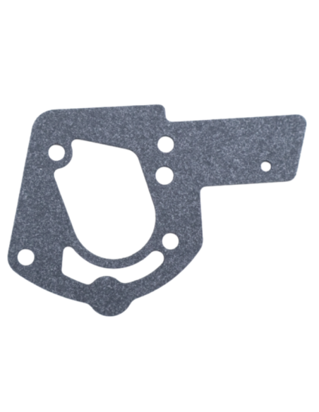 Joint de montage de réservoir - BRIGGS ET STRATTON - 272489 - 692241 - 271928