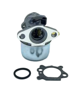 Carburateur - BRIGGS ET STRATTON - 498170 - 49216 - 493422 - 498965 - 694882 - 792253