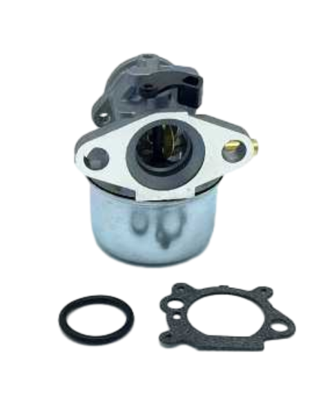 Carburateur - BRIGGS ET STRATTON - 498170 - 49216 - 493422 - 498965 - 694882 - 792253