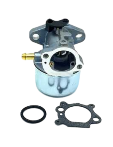 Carburateur - BRIGGS ET STRATTON - 498170 - 49216 - 493422 - 498965 - 694882 - 792253