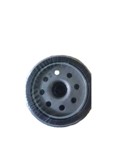 Filtre à huile BRIGGS & STRATTON - KOHLER 492056 - 492932 - 696854 - 795137 - 4300408 Modèle court