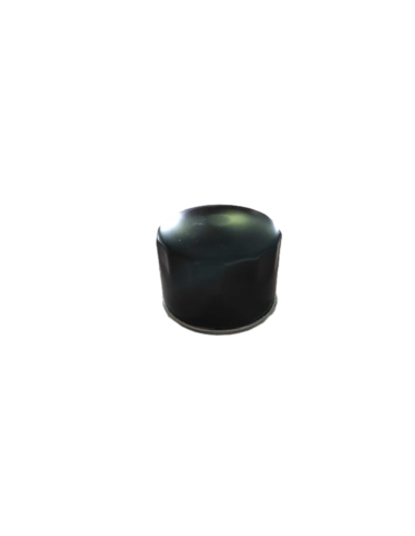 Filtre à huile BRIGGS & STRATTON - KOHLER 492056 - 492932 - 696854 - 795137 - 4300408 Modèle court