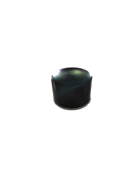 Filtre à huile BRIGGS & STRATTON - KOHLER 492056 - 492932 - 696854 - 795137 - 4300408 Modèle court