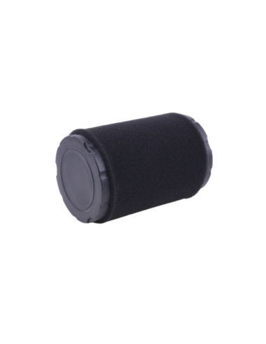 Filtre à air BRIGGS ET STRATTON - 796031 - 591334 - 594201 - 590825 - 591344
