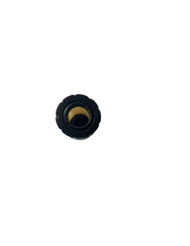 Filtre à air BRIGGS ET STRATTON - 796032 - 591583 - 532796032