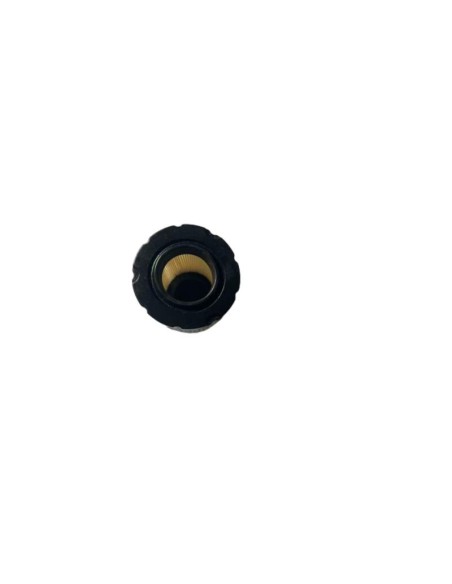 Filtre à air BRIGGS ET STRATTON - 796032 - 591583 - 532796032