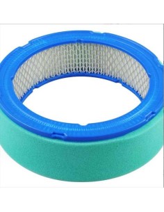 Filtre à air BRIGGS ET STRATTON 16 CV bicylindre VANGUARD - 394018 - 392642 2